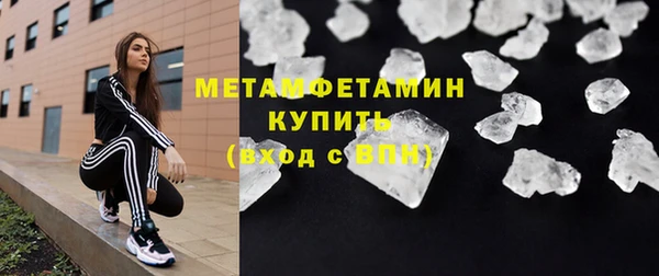 прущие грибы Рославль