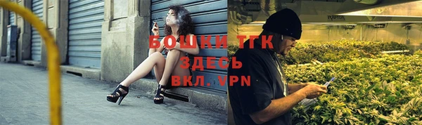 прущие грибы Рославль