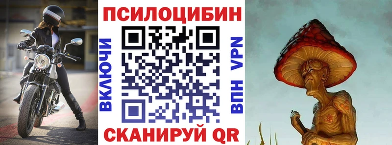 Псилоцибиновые грибы GOLDEN TEACHER  kraken ONION  Инсар  как найти закладки 